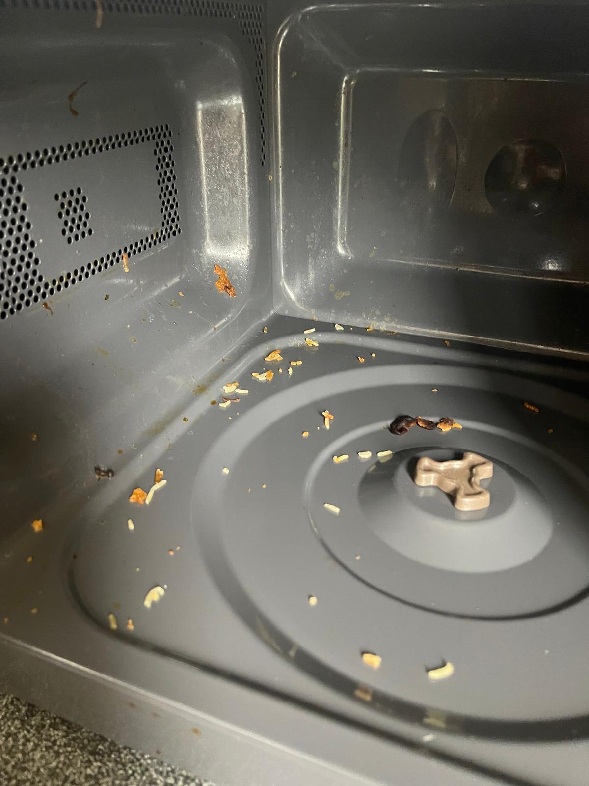 cleaning services in Hundington