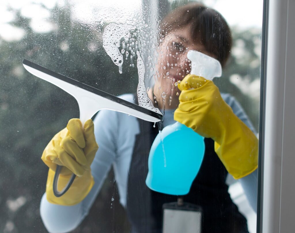 Understanding Indoor Allergens